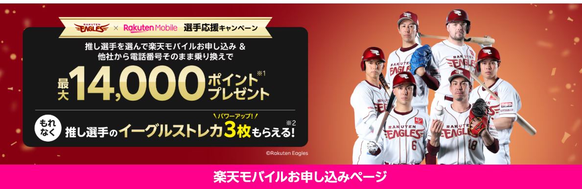 以下の画面が出てきたらエントリー完了です。