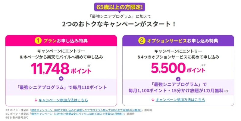 もらえるポイント