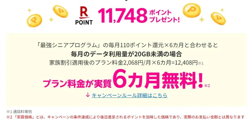 もらえるポイントは6カ月の期間限定ポイント