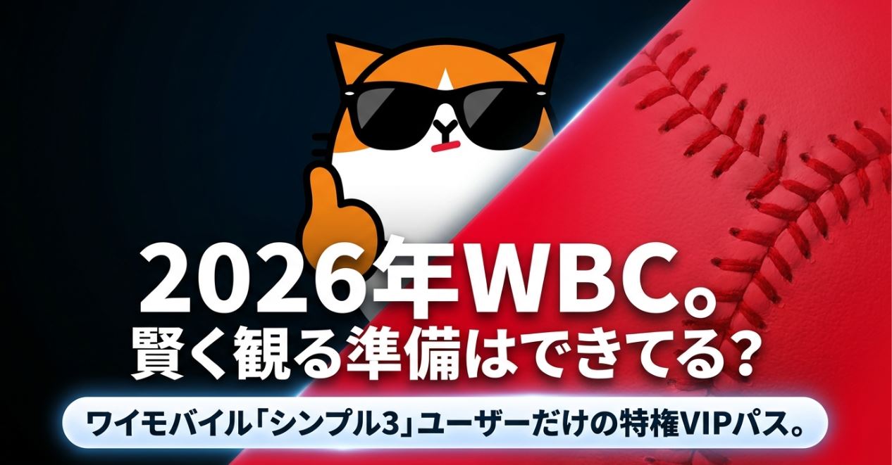 まず結論|WBCを見るならワイモバイル経由が最強