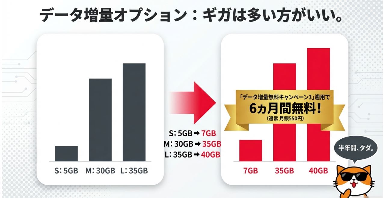 データ増量オプション