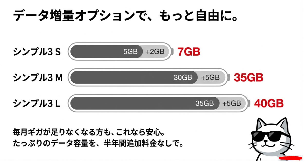 データ増量オプション