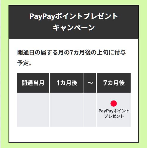 PayPayポイントプレゼント