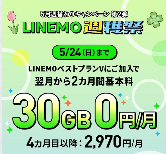30GBの「ベストプランV」に申し込むと月額基本料2,970円が2ヶ月間0円。