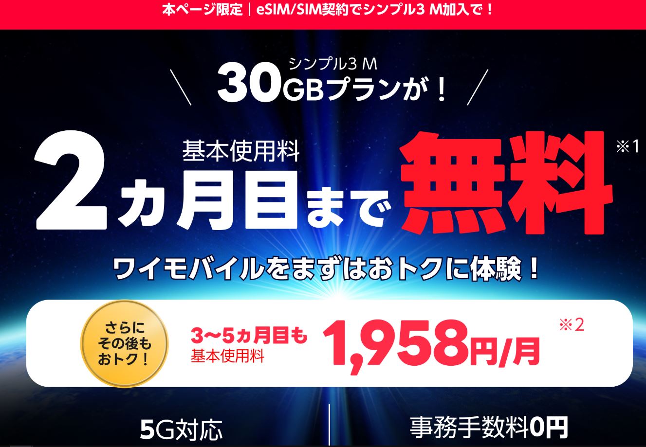 ワイモバイルSIM トライアル2