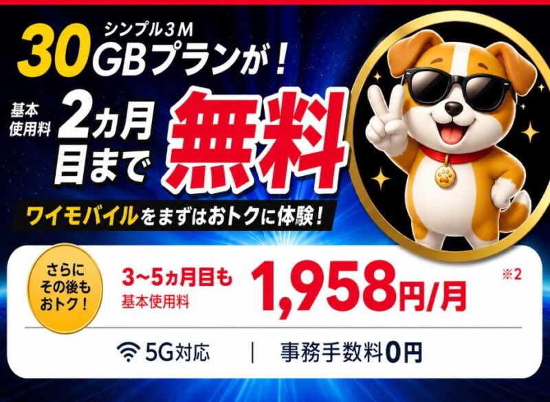 【7/21まで】30GBが２か月無料！「ワイモバイルSIM トライアル2」キャンペーン