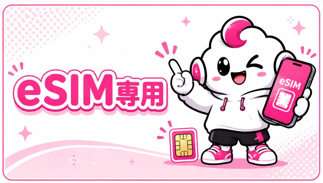 eSIM専用
